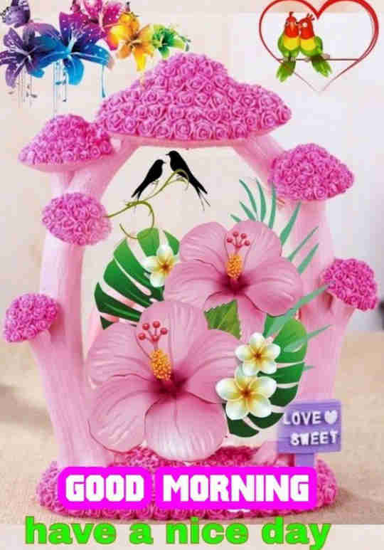 Good Morning Everyone
